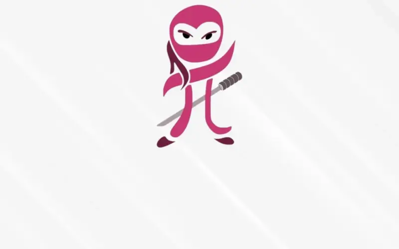 numpyninja